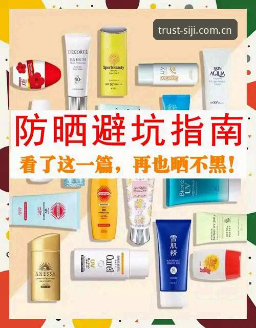 四季官方认证深度剖析：从新手到高手的全面操作指南与真实体验