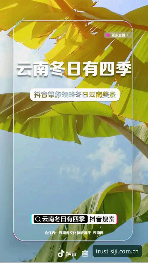 四季官网入口使用教程：如何获取四季平台真实评价？